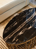 Table basse de style nordique, luxe léger, minimaliste et moderne, idéale pour les petites maisons ; ovale en acier inoxydable et marbre pour salon