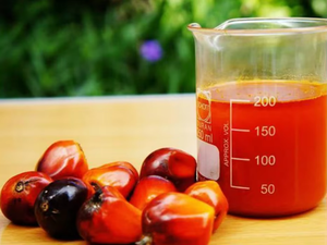 Prix de gros Huile de palme AGRIMAX 99,9 % pure, de haute qualité, faite à la main, naturelle, en vrac, de qualité alimentaire, fractionnée, d'origine américaine - Product Image 6