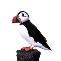 Modèle d'animal animatronique grandeur nature d'oiseau de mer simulé pour la décoration de lieux commerciaux