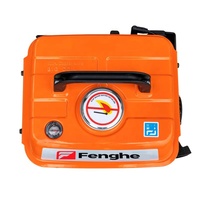 Tragbarer Mini-Benzingenerator 650W 24V/380V, Einzylinder 210cc, 4,2L Kraftstofftank, Umweltfreundlich, Reversierstarter, 2-Takt, 50/60Hz