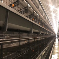 BANGYUAN AUH-650 Nouveau design 240/300 têtes, cages automatiques pour poules pondeuses de type H à 4 niveaux en acier galvanisé à chaud, capacité 96-160 poules