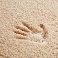 Non Shedding for Nursery Children Kids Room Home Soft Runner Carpets for Bedroom Living Room Plush Shag Furry Sherpa Floor Rug