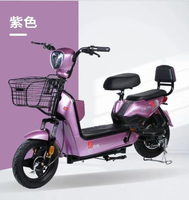 Vélo Électrique Pliant Adulte à Cadre en Acier, Pneus Larges, 1000W 48V, 27 Vitesses, Haute Vitesse, Batterie Lithium 15AH, Vélo de Ville Électrique – Prix Abordables