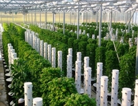 Système d'irrigation aéroponique Spacetree HT1 pour culture hors-sol, pompe de culture hydroponique pour légumes d'intérieur, facile à utiliser, en matériau ABS