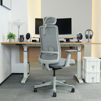 Cadeira De Escritorio Chaises De Bureau En Maille Fauteuil Ergonomique BIFMA Chaises De Direction Pivotantes Silla De Oficina Chaise De Travail Bureaux