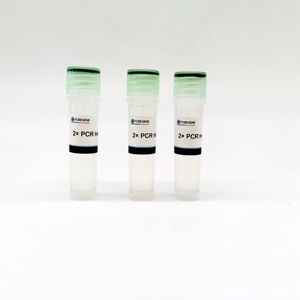 Foretene-Sistema de reactivo de biología <span class=keywords><strong>molecular</strong></span>, kits de extracción de héroes PCR, reactivos de laboratorio, ultra rápido, 2x PCR - Product Image 1