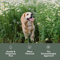 Nettoyant Moussant Sans Rinçage pour Pattes de Chien Marque Blanche – Formule Douce et Naturelle avec Brosse en Silicone
