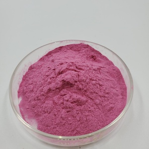 Estratto di prugna capsule essiccato succo di prugna rossa in polvere prugna in polvere - Product Image 2