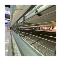 Équipement automatisé pour élevages avicoles : Système de cages à poules pondeuses de type H avec système d'alimentation automatique