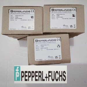 Pepperl+Fuchs KFD2-UT2-Ex2 ตัวกั้นความปลอดภัยด้านอุณหภูมิ ติดตั้งบนราง DIN สำหรับควบคุมกระบวนการอุตสาหกรรม 1 ช่องสัญญาณ - Product Image 2