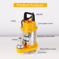 Pompe submersible DC sans balais pour irrigation efficace 200W 48/60/72V, hauteur de refoulement 40m, en acier inoxydable, moteur DC agricole, débit 8m³/h