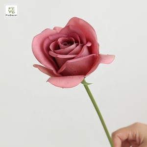Vente en gros de fleurs de mariage décoratives en soie de haute qualité, roses <span class=keywords><strong>Carola</strong></span> blanches de 36 cm, toucher réaliste, revêtement en latex - Product Image 6