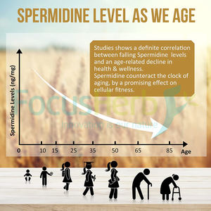 FocusHerb Suplementos de espermidina Extracto de germen de trigo 1% Cápsulas de espermidina - Product Image 4
