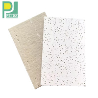 Plafond faux acoustique d'installation facile de style de luxe pour l'immeuble de bureaux