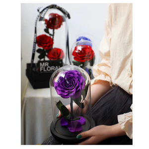 PENGXUAN naturale vendita calda all'ingrosso rosa en cupula de vidrio conserva cupola di vetro rosa conservata rosa in vetro - Product Image 1
