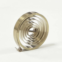 Ressorts de torsion en spirale plats de ressort d'horloge de Xinxuhong avec la coutume de qualité assurée