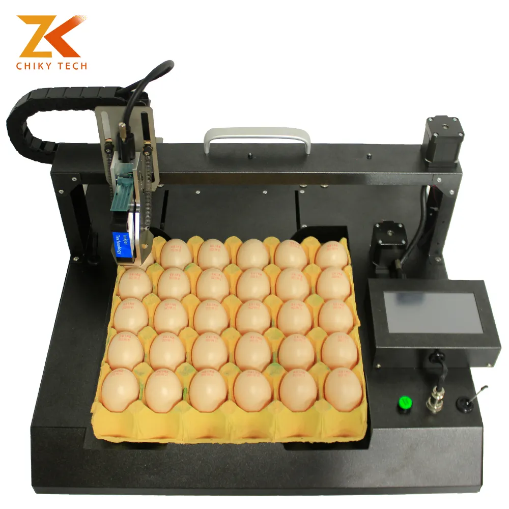 Produsen pencetak Inkjet pengodean tanggal telur kepala tunggal otomatis multifungsi untuk bisnis kecil