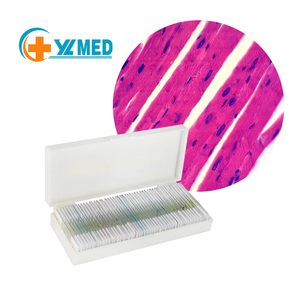 Set di Vetrini Preparati per Istologia per <span class=keywords><strong>Scuole</strong></span> <span class=keywords><strong>Medie</strong></span> e Studi Medici, Vetrini Preparati per Microscopi Scolastici per Bambini - Product Image 6