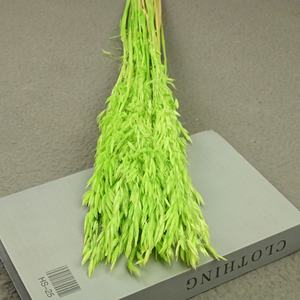 Fleur séchée 40g/<span class=keywords><strong>bouquet</strong></span> d'<span class=keywords><strong>épi</strong></span>s <span class=keywords><strong>de</strong></span> <span class=keywords><strong>blé</strong></span> et d'avoine, fleur éternelle écologique, décoration <span class=keywords><strong>de</strong></span> cadeau d'anniversaire, arrangement floral - Product Image 2