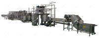 200 Kg Per Uur Tot 1 Ton Per Uur Industriële Kleine Tomatenpuree Ketchup Saus Making Machine Verwerking Lijn