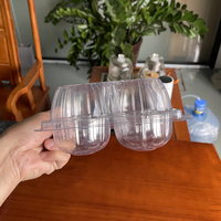 Barquette jetable transparente en PET pour kiwi, 4 compartiments, avec couvercle, qualité alimentaire, personnalisable pour l'emballage de fruits frais, supermarché, vente au détail