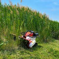 Tondeuse robot à fléaux télécommandée 800mm 1000mm pour herbe, mini débroussailleuse sur chenilles, modèle le plus vendu