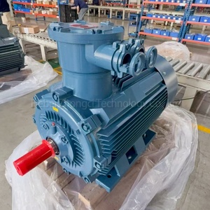 <span class=keywords><strong>Moteur</strong></span> synchrone triphasé à aimant permanent antidéflagrant pour l'exploitation minière du <span class=keywords><strong>charbon</strong></span>, haute performance, efficacité IE4, 185 kW - Product Image 2