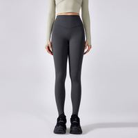 Nouveau Pantalon de Yoga d'Hiver en 79% Polyamide 21% Spandex avec Dos en V, Taille Haute Élastique Effet Gainant et Remonte-Fesses, Legging de Sport pour Femme