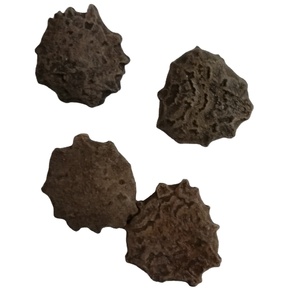 木别子生天然干果苦瓜精液出售 - Product Image 1