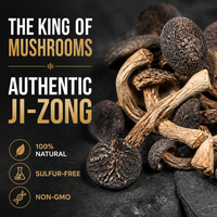 Termitomyces Albuminosus Sauvage Séché Premium en Gros – Champignon Entier Pur Super Alimentaire pour la Cuisine Saine et les Soupes – OEM