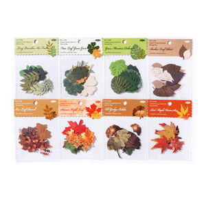 30 pcs/pack Material Pack Leaf Pick up Collection Series Hollow Out the Leaf Handbook DIY Material Decorative Bottoming - Product Image 5