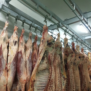 Equipo automático de matadero de ganado Máquina de matadero de carne <span class=keywords><strong>para</strong></span> línea de matadero de carnicería con componentes de núcleo de bomba de motor - Product Image 5