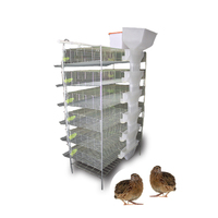 Cage pour caille les oiseaux chinois, 9 grilles, zone d'élevage d'œufs, cage d'élevage commerciale, pour cailles