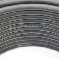 Cable Eléctrico Plano Trenzado con Aislamiento de PVC y Cobre RVVB de 2 Núcleos, Estándar Nacional, para Uso Doméstico y en Edificios, 1/1.5/2.5/4/6mm
