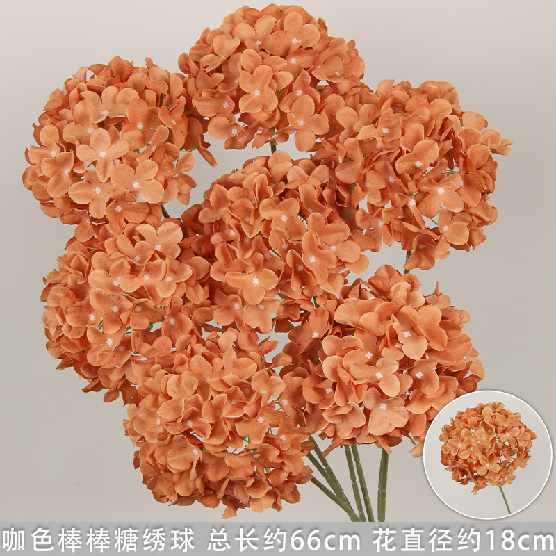 Brown lollipop hydrangea holder