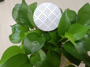 Scatola Sonora con Suono di Mucca, Elettronica di Consumo Novità, Generatore di Rumore a Forma di Mucca in Lattina per Feste e Scherzi - Product Image 5