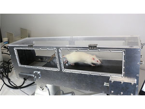 Hayvan Enerji Metabolizması Koşu Bandı Kulesi O2/CO2 Solunum Metabolizması İzleme Sistemi Egzersiz Fizyolojisi Araştırmaları için - Product Image 3