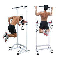 Tour de musculation multifonctionnelle en acier pour tractions, dips et exercices de levage des jambes suspendues