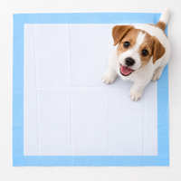 Tapis absorbants jetables 5 couches pour animaux de compagnie, coins antidérapants et contrôle des odeurs, pour l'apprentissage de la propreté en intérieur