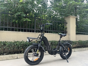 Queene 2024 Super Promotion 750 Watt Gros Pneu Neige Vélo Électrique Pliable Beach Cruiser Ebike Pour Les Femmes - Product Image 3