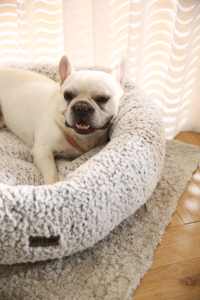 셀프 워밍 고양이 침대 핫 세일 500000개 애완동물 제품 액세서리 셀프 히팅 고양이 개 침대 미끄럼 방지 바닥 - Product Image 6