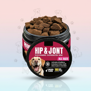 Complément de chondroïtine pour animaux de compagnie, saveur poulet, à mâcher souple, pour la santé des articulations, soulagement de la douleur, antioxydant, pour le commerce transfrontalier - Product Image 5