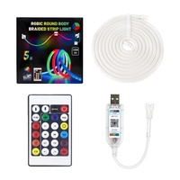 Kit de Bande LED Néon RGBIC 5 Mètres, Corps Rond Tressé, Étanche à 360 Degrés, Synchronisation Musicale, Lumière Corde pour Décoration de Chambre