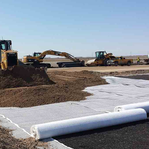 Mặt đất ổn định PP hai trục geogrid gia cố vải địa kỹ thuật - Product Image 4