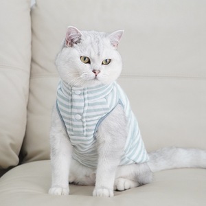 Chaleco para Gato de Algodón Puro Antidesprendimiento, Ropa para Mascotas para Todas las Estaciones, Estilo Conejito con Rayas Verdes - Product Image 2