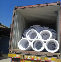 Alambre de Hierro Galvanizado de Alta Calidad a Precio de Fábrica, 1.6mm 1.9mm 2.5mm 3mm 3.4mm, Resistente a la Intemperie para Cercas, con Certificación CE