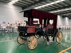 Carroza de Caballos Zhenda para 6 Personas, para Paseos Turísticos al Aire Libre, Bodas Románticas, Estructura de Acero, Neumáticos de Goma Sólida - Product Image 6
