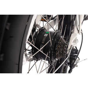 Promotion vélo de chasse 24 pouces gros pneu électrique dirt VTT vélo électrique double moteur fatbike électrique - Product Image 3