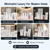 Kit de toilette jetable pour hôtel avec brosse à dents et pantoufles, sept pièces, vente en gros, modèle 132555, fabriqué dans la province du Guangdong