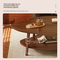 Nouvelle table basse en bois de petite taille avec rangement double couche, multifonctionnelle pour petits appartements et salons, légère
